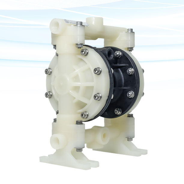 Q-MAX MAX-FLO Non-Metal AODD Pump MY1-15